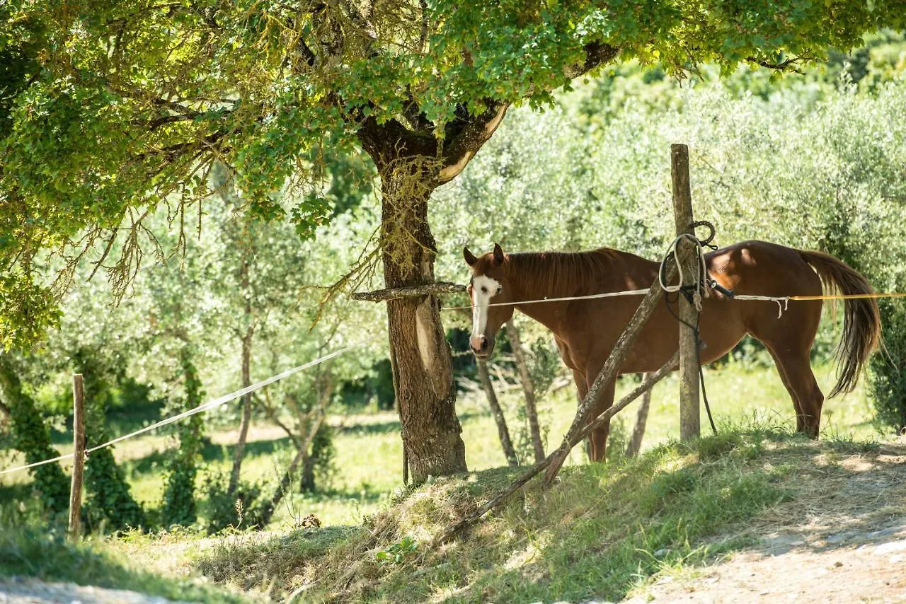 Agriturismo Fattoria Lavacchio Pontassieve Bauernhof