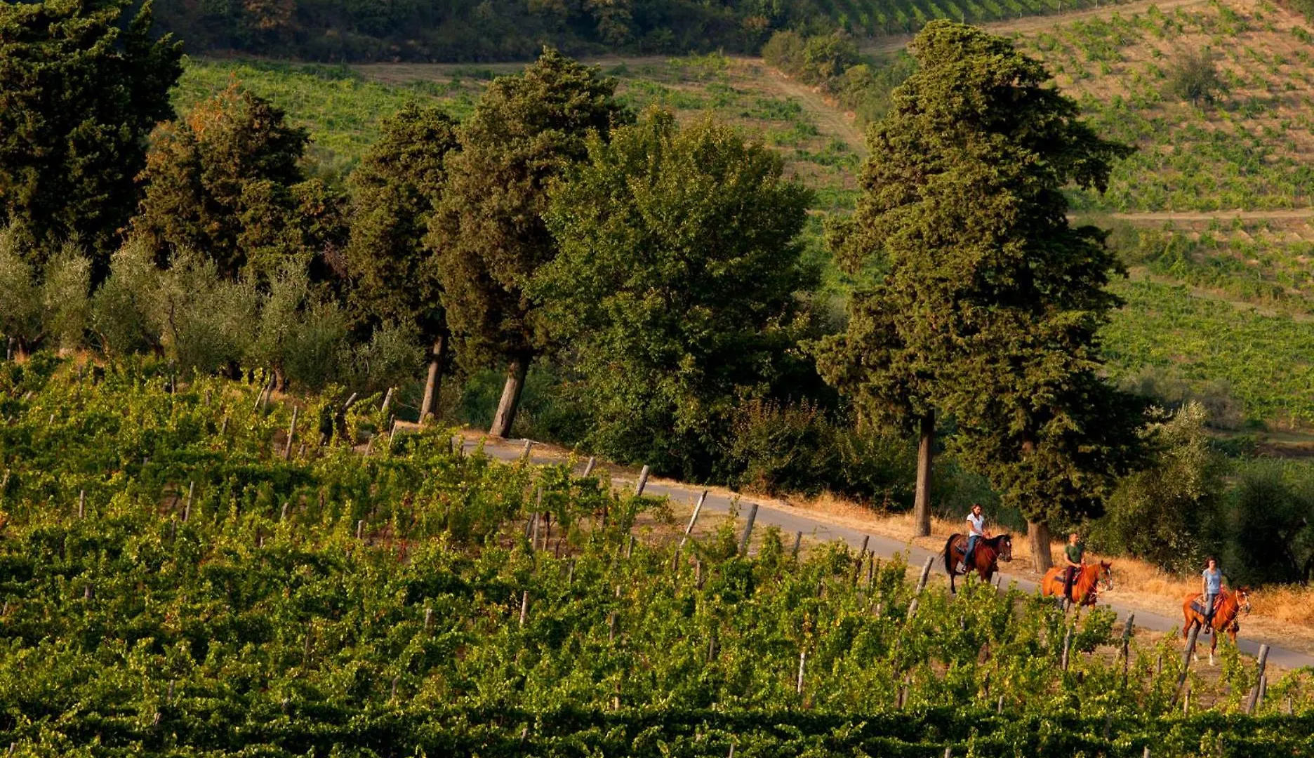 Bauernhof Agriturismo Fattoria Lavacchio Pontassieve Italien