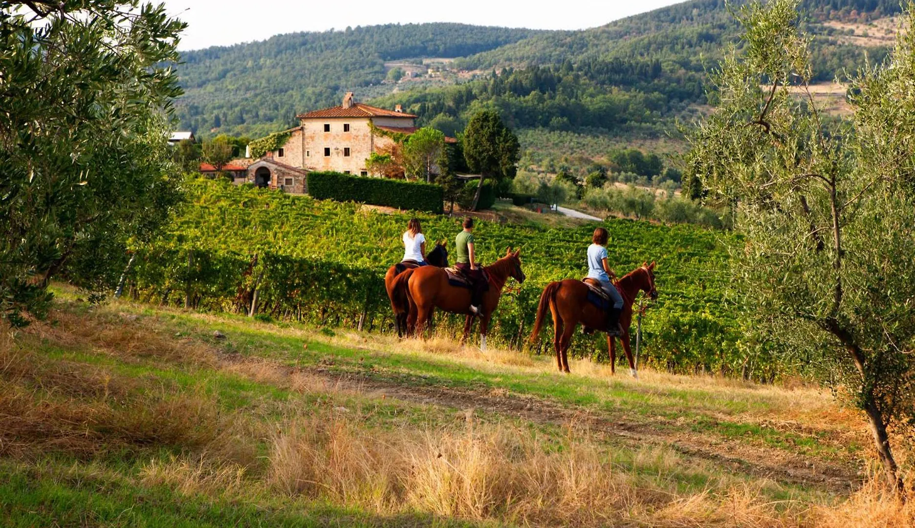Agriturismo Fattoria Lavacchio Pontassieve