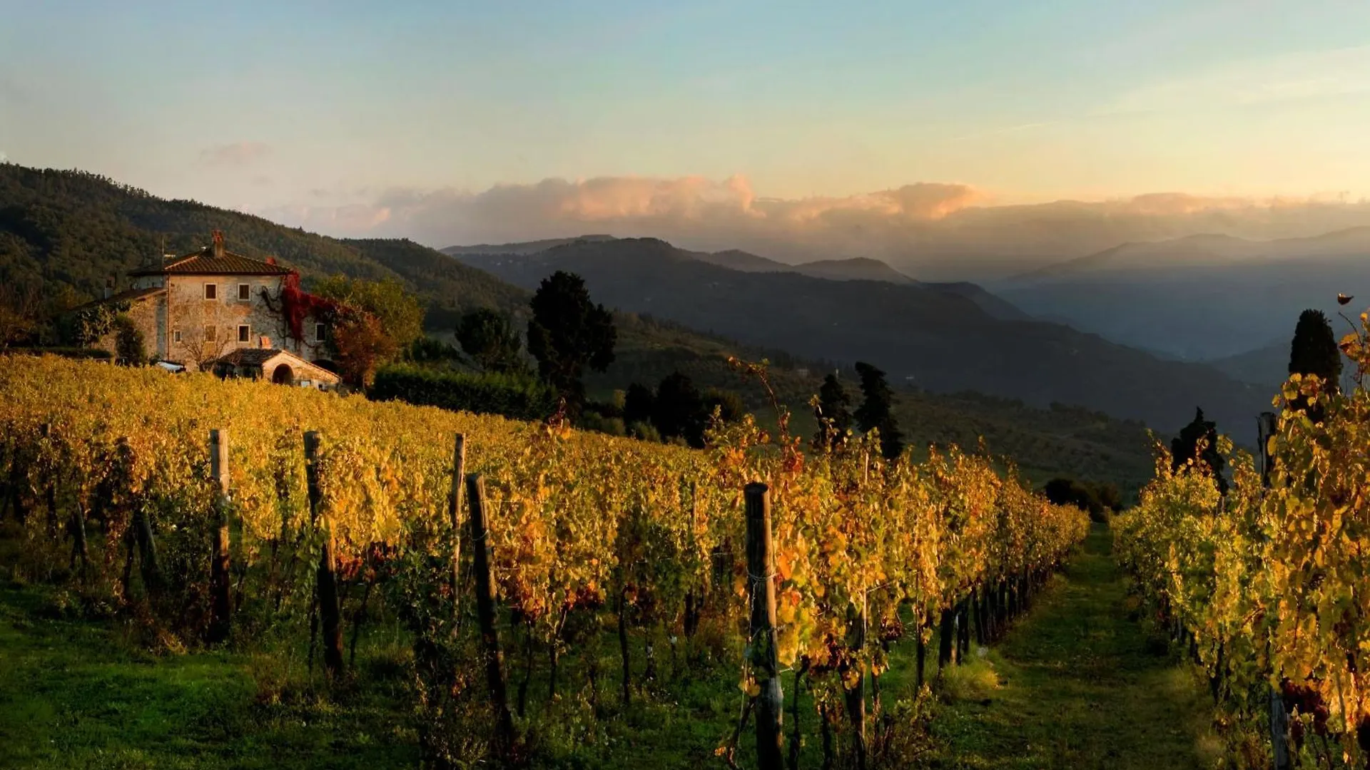 Agriturismo Fattoria Lavacchio Pontassieve